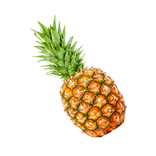 Fruits